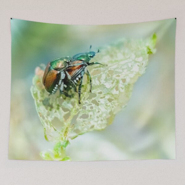 Item preview, Japanese Beetle Style 2 designed and sold by John Velocci.