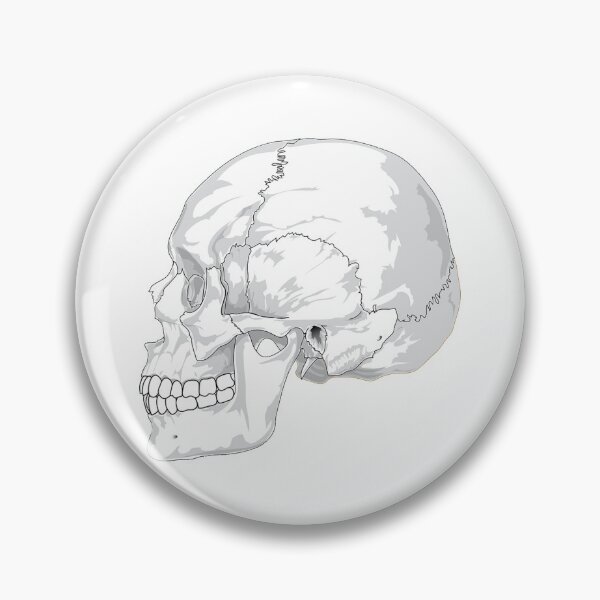 Item preview, Human Skull designed and sold by TheDillen.