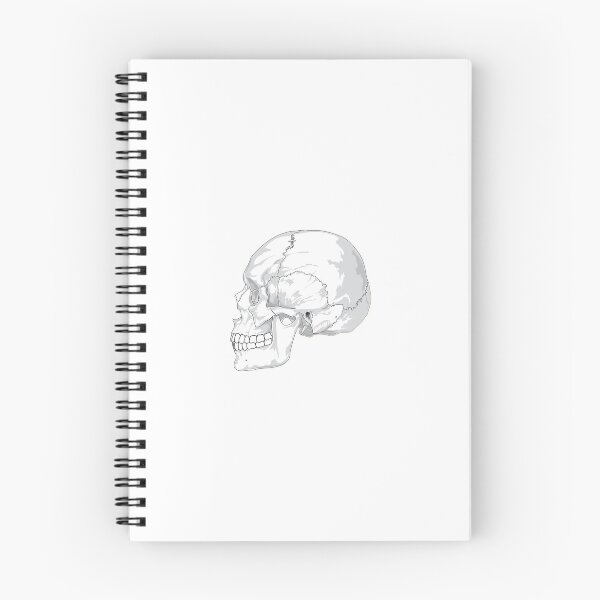 Item preview, Human Skull designed and sold by TheDillen.