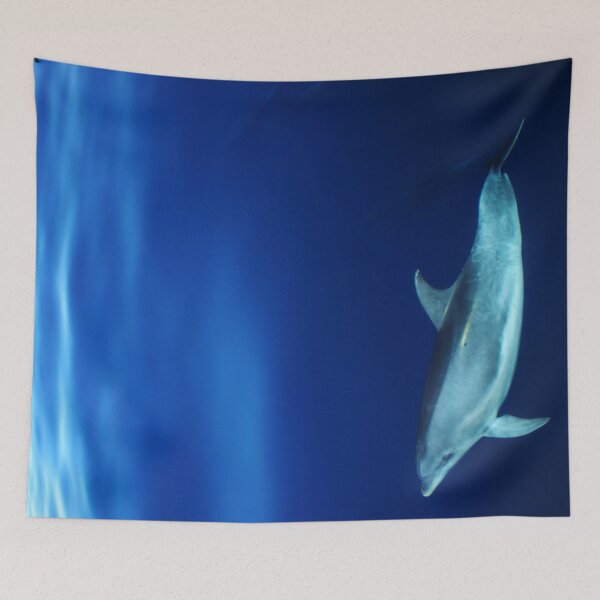 Item preview, Dolphin and blues designed and sold by chloeyzoard.