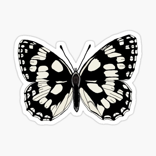 "Marbled white butterfly" Sticker for Sale by heymoondesign Redbubble