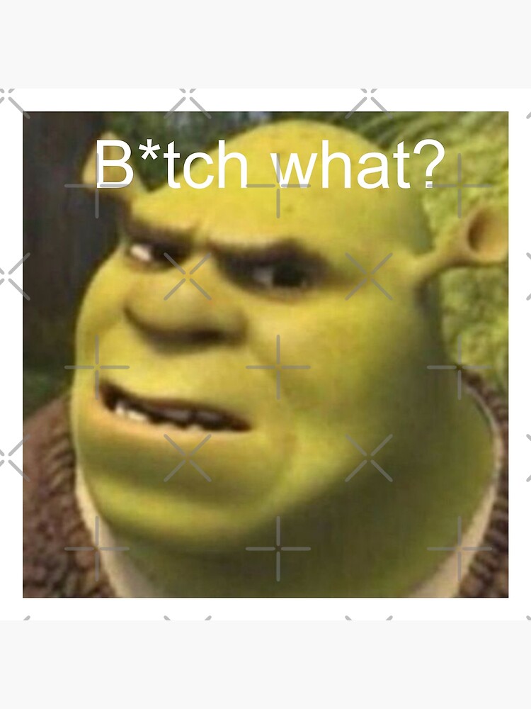 Shrek Memes: A Guide to the Internet's Most-Memed Character