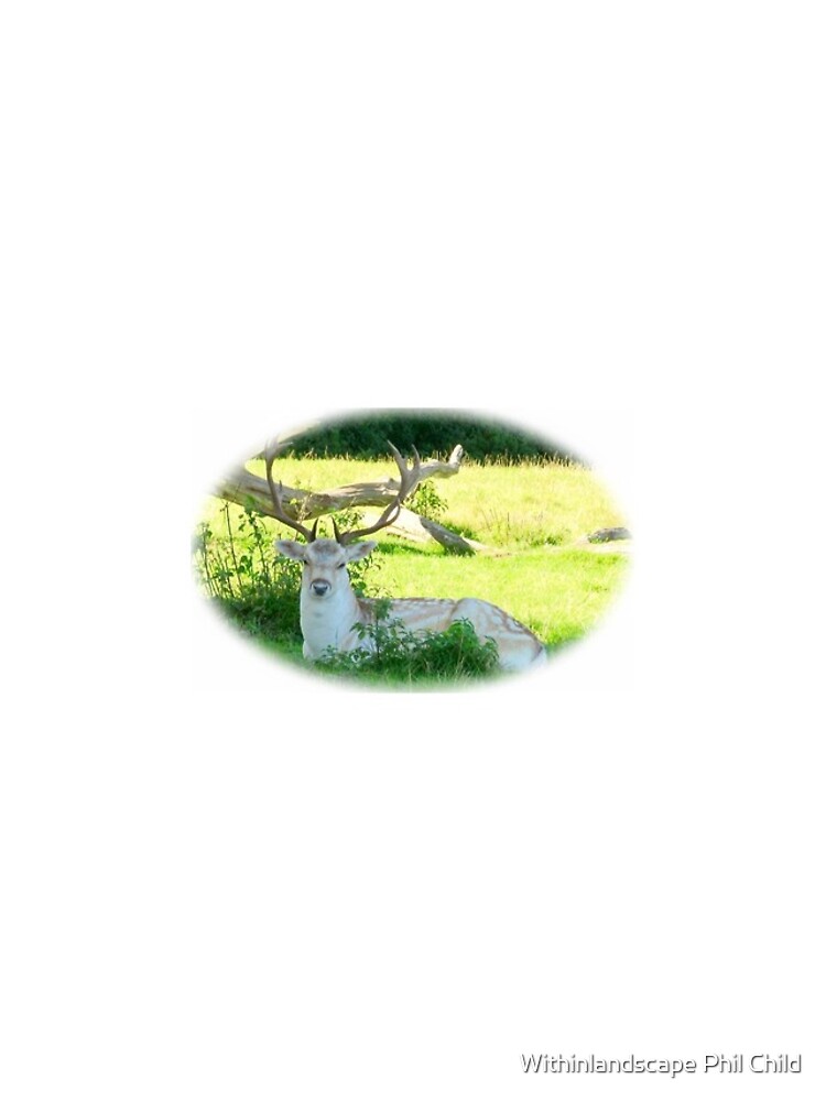 Thumbnail 5 of 5, iPhone Case, Stag designed and sold by Inlandscape.