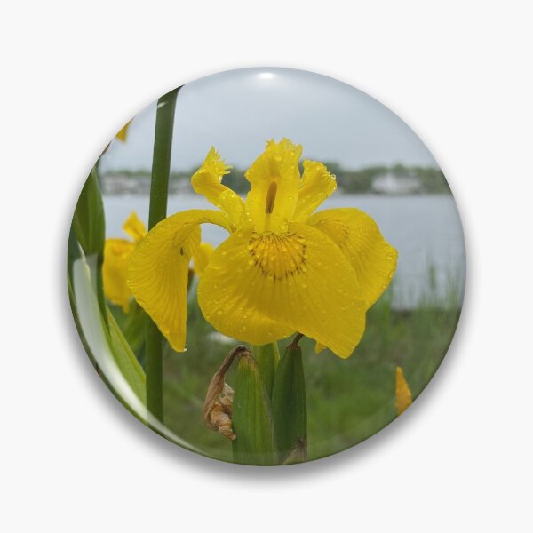Item preview, Yellow Flower designed and sold by Artsyphotos8.