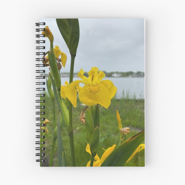 Item preview, Yellow Flower designed and sold by Artsyphotos8.