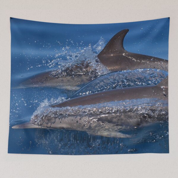 Artikelvorschau, Gepunkteter Delphin entworfen und verkauft von chloeyzoard.