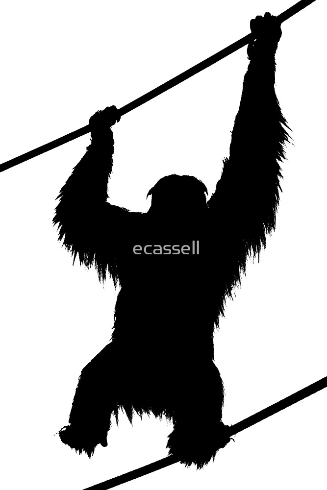  Orangutan Silhouette 