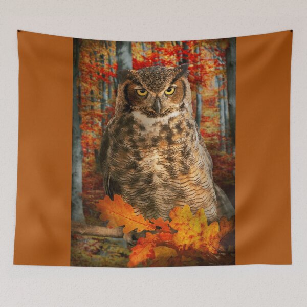 Item preview, Animal - Owl - Far from impressed designed and sold by Mike Savad Photography.