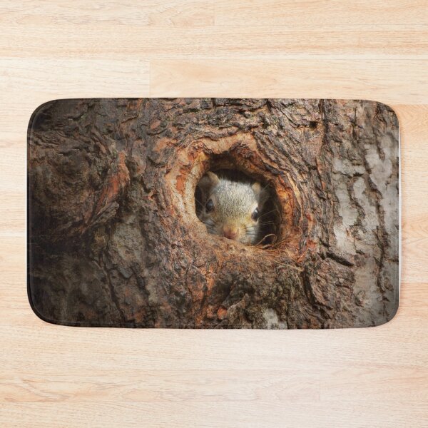 Item preview, Animal - Squirrel - I'm not shy I'm an introvert designed and sold by Mike Savad Photography.