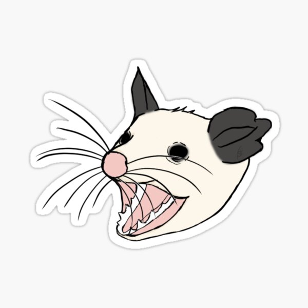 Das Opossum Geschenke Merchandise Redbubble