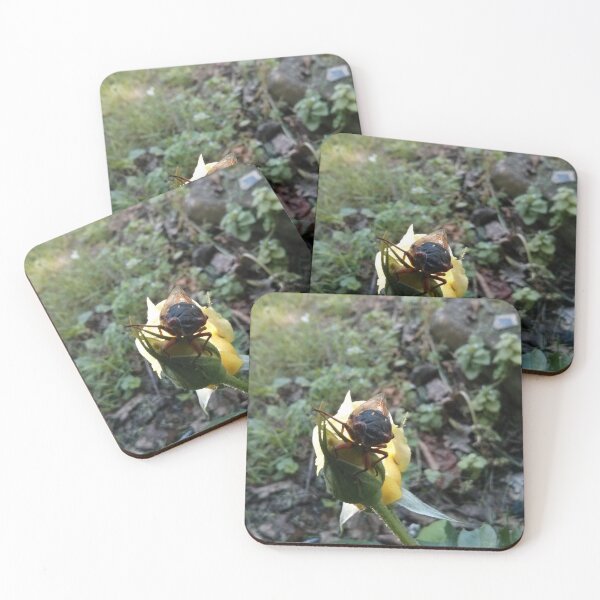 Item preview, Cicada Resting on a Yellow Rose designed and sold by Zeph1.
