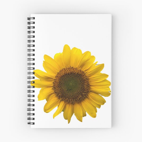 Aperçu de l'œuvre Tournesol créée et vendue par OneWickedGinger.