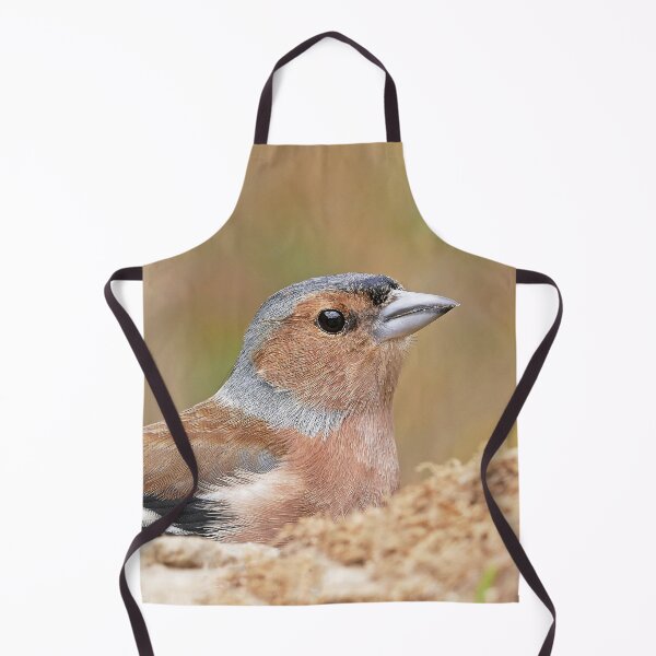 Item preview, r1074 / New Finition 2021 -- Oiseau " Pinson des Bois " Beau Portrait " 2015 (c)(t) Olavia-Olao Okaio Créations designed and sold by o.okaïo.