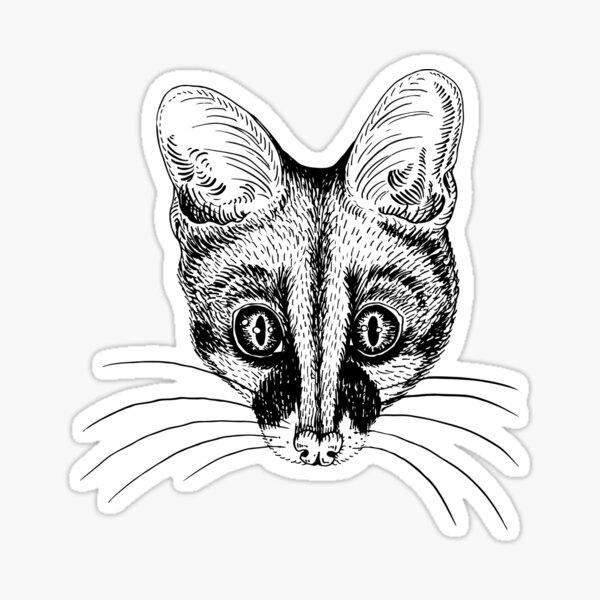 Genet in the Tropical Forest (Honey Background)  Sticker