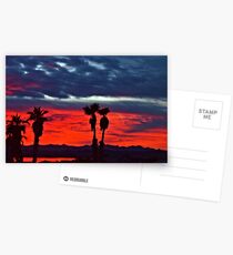 New Year Sunset Postcards