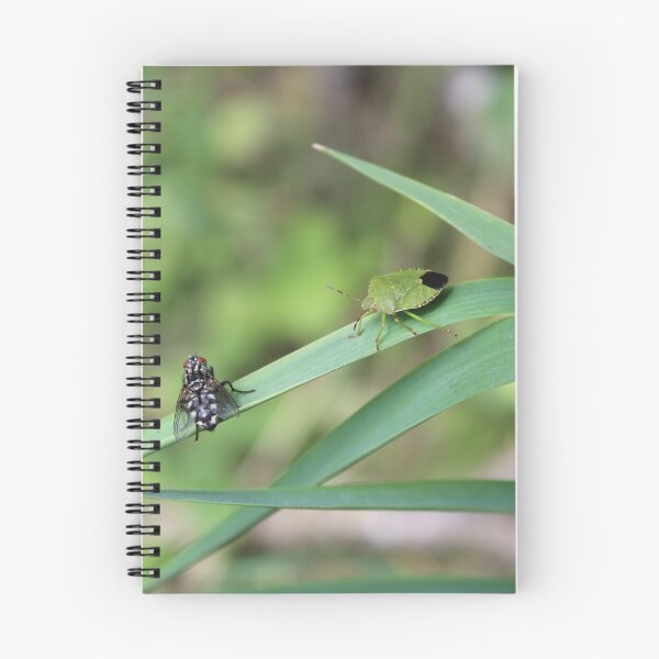 Item preview, Stinkbug and fly designed and sold by elvirahphoto.