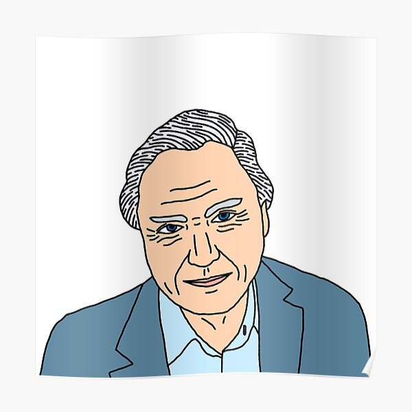 David Attenborough Poster