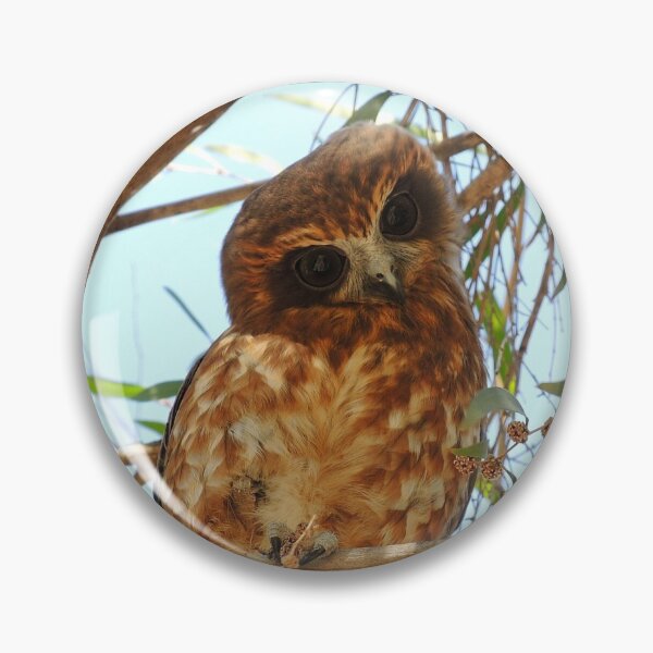 Item preview, Cute Boobook Owl designed and sold by Orchids4U.