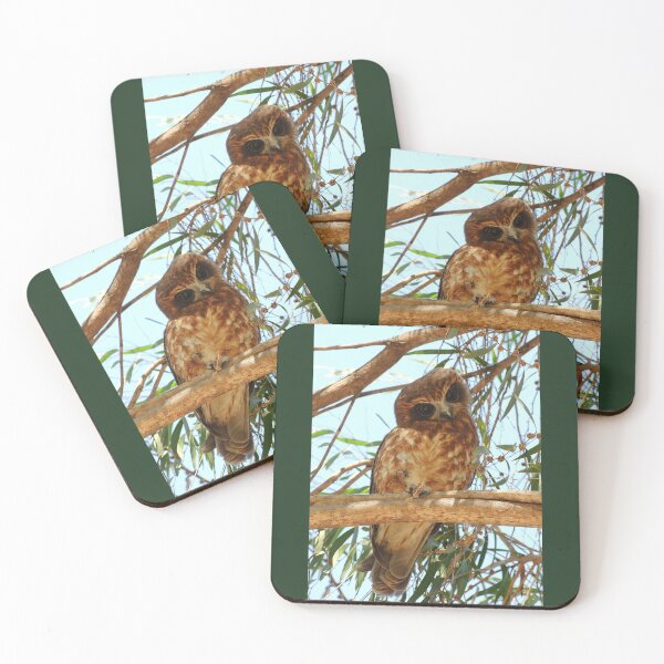 Item preview, Cute Boobook Owl designed and sold by Orchids4U.