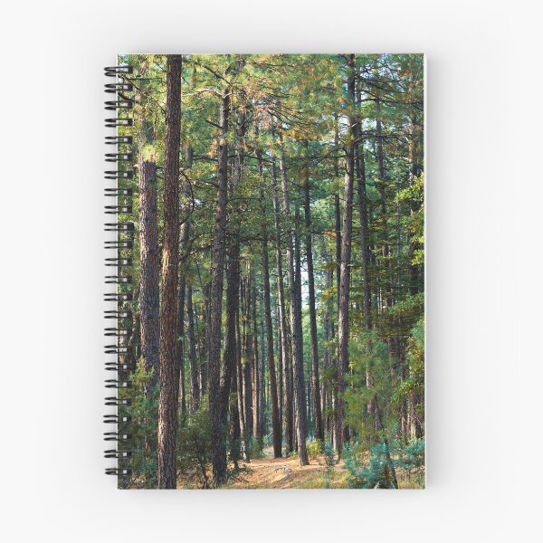 Item preview, Lost in the Pines designed and sold by BGSPhoto.