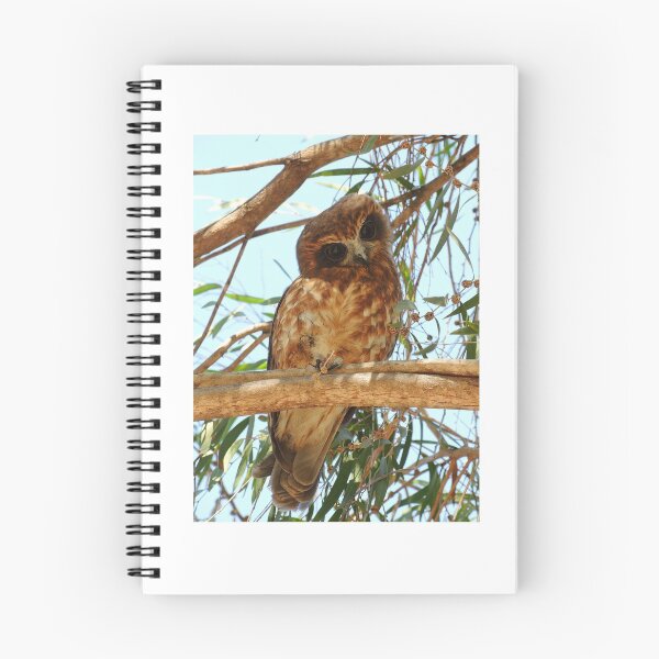 Item preview, Cute Boobook Owl designed and sold by Orchids4U.