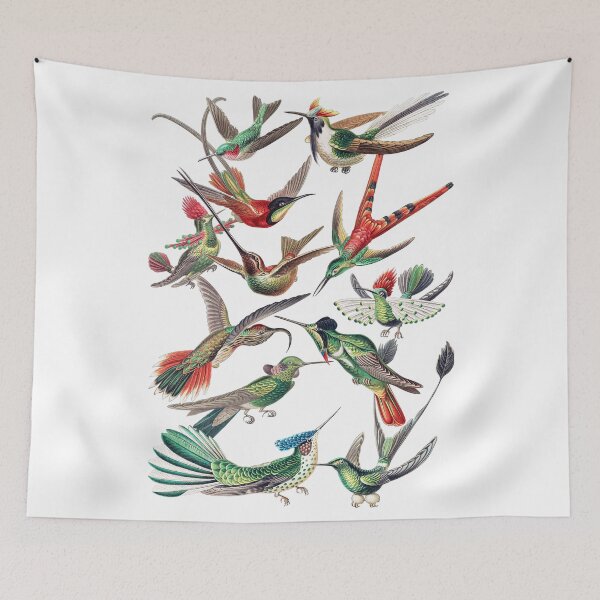 Item preview, Birds/Hummingbird designed and sold by EllohimBute.