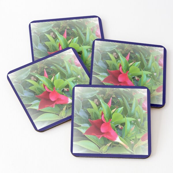 Item preview,  Flowers Sublime designed and sold by Fly A Kite Kerr.