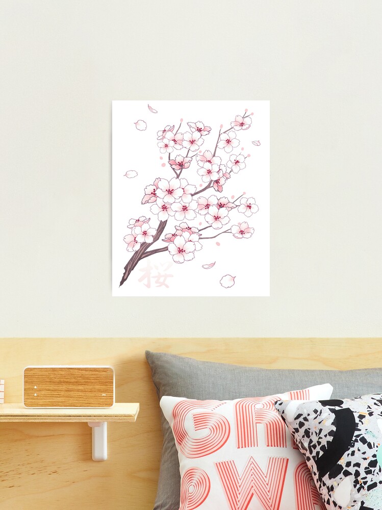 White sakura cherry blossom branches falling petals