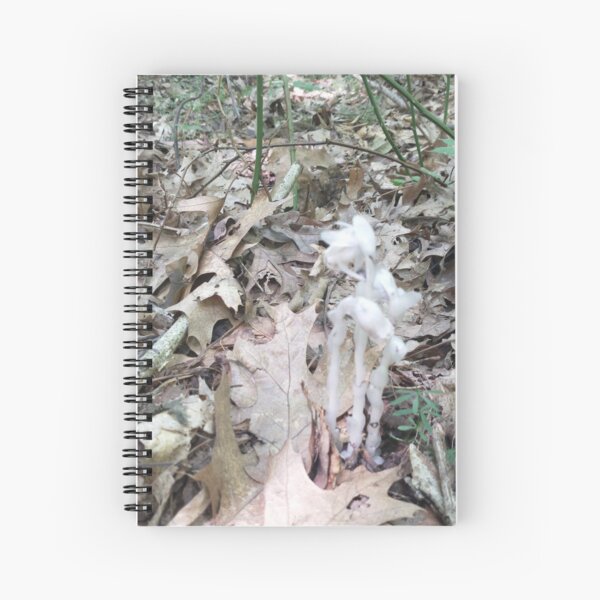 Monotropia Unifloria, Indian Pipe Spiral Notebook