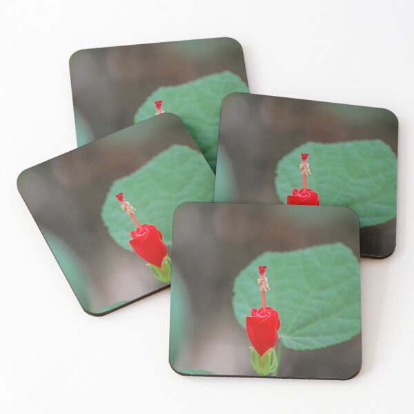 Item preview, Stand Up and BLOOM designed and sold by Julie Bradshaw.