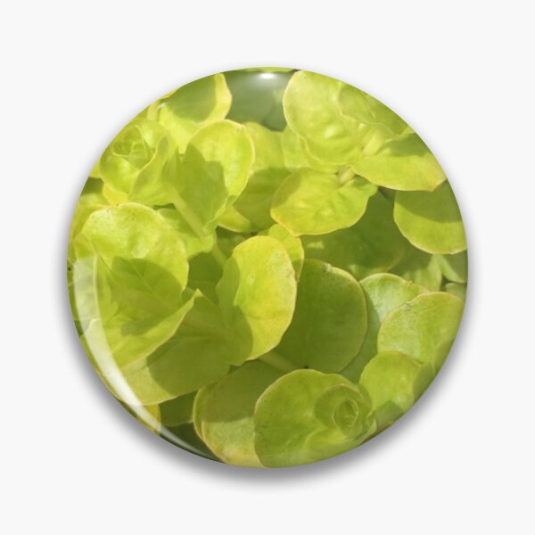 Item preview, Green Machine designed and sold by IxxyCo.