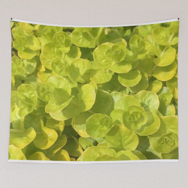 Item preview, Green Machine designed and sold by IxxyCo.