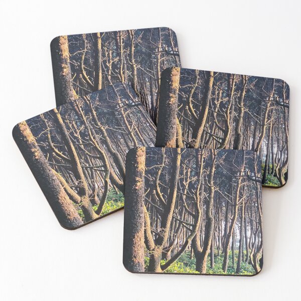 Item preview, Dreamy sunlit secret forest scene designed and sold by PacificTime.