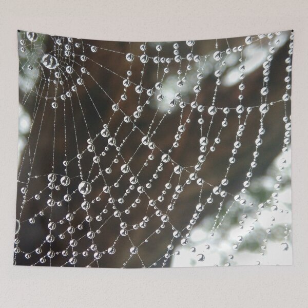 Artikelvorschau, Nahaufnahme nebliger Regentropfen Spinnennetzfotografie entworfen und verkauft von -Lily-Anne-.