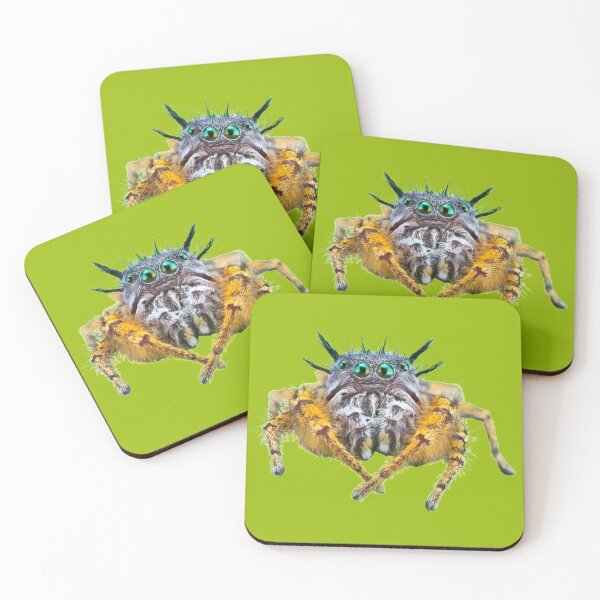 Item preview, Cute Spider designed and sold by MorningFive.