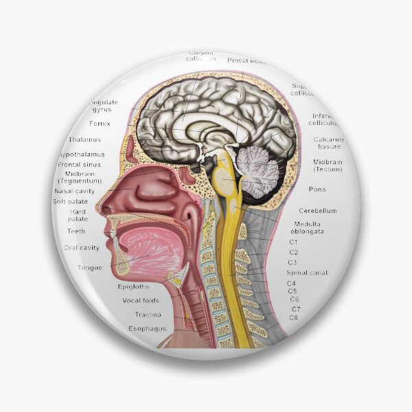 Item preview, Head & Neck designed and sold by BlueTreePublish.