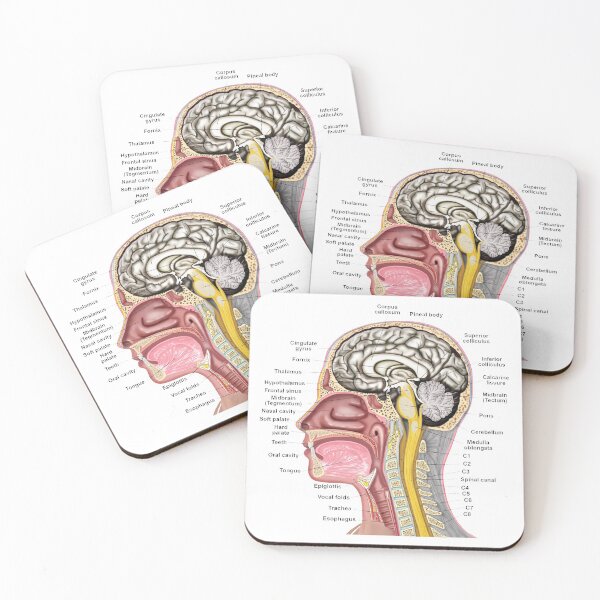 Item preview, Head & Neck designed and sold by BlueTreePublish.