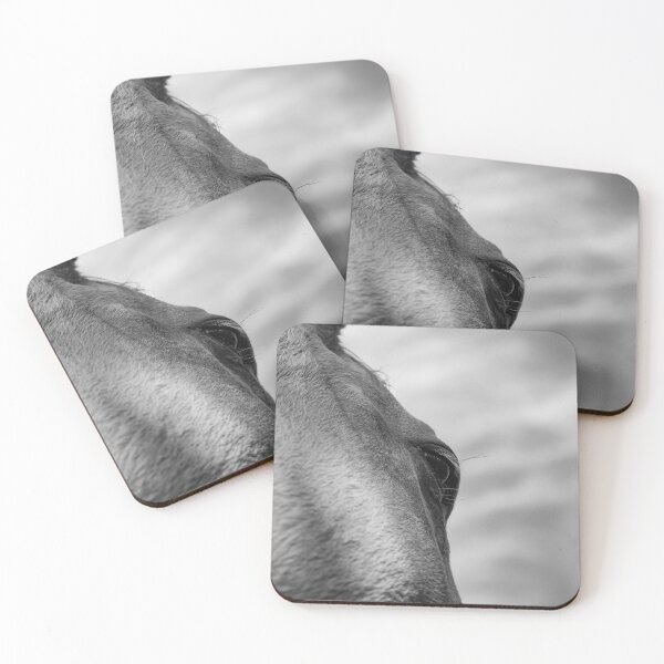 Item preview, Look to the Sky (b&w) designed and sold by Julie Bradshaw.