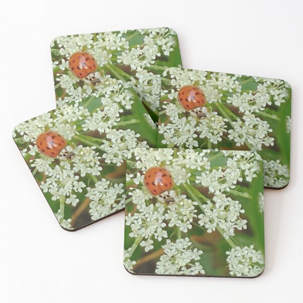 Item preview, Ladybug Wild Carrot designed and sold by AlphaGalGardenGirl.