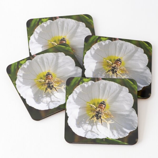 Item preview, Happy Bee designed and sold by Julie Bradshaw.