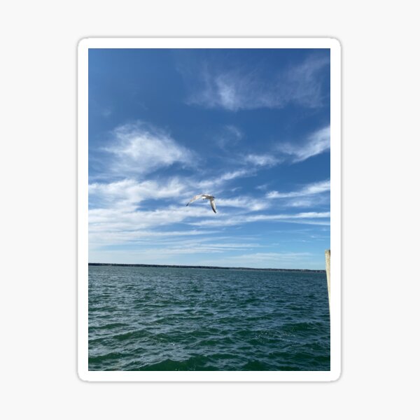 Item preview, Bird in Flight designed and sold by Artsyphotos8.