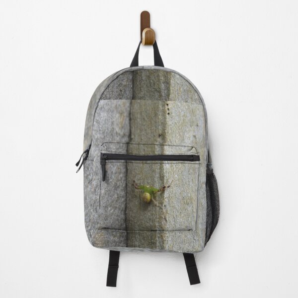 Item preview, Green crab spider designed and sold by greentiger1.