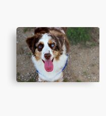 Happy Dog Metal Print