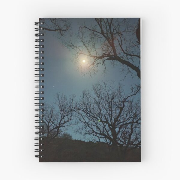 Item preview, Moonlit night designed and sold by Mred78.