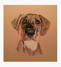PD Photographic Print