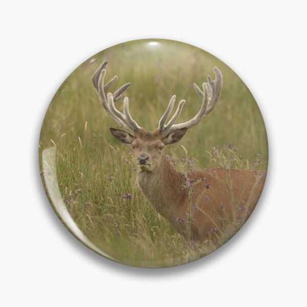 Item preview, red deer stag designed and sold by ETstickerz.