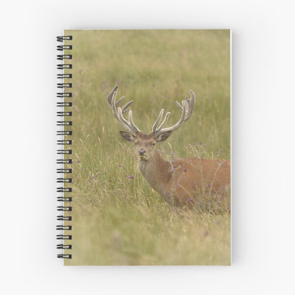Item preview, red deer stag designed and sold by ETstickerz.