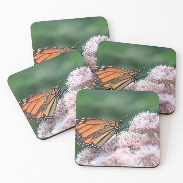 Item preview, Monarch on Joe-Pye Weed designed and sold by Chris Coates Photography.com.
