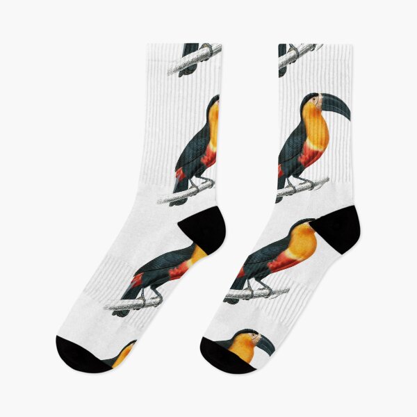 Item preview, Toucan designed and sold by EllohimBute.