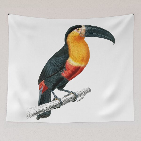 Item preview, Toucan designed and sold by EllohimBute.